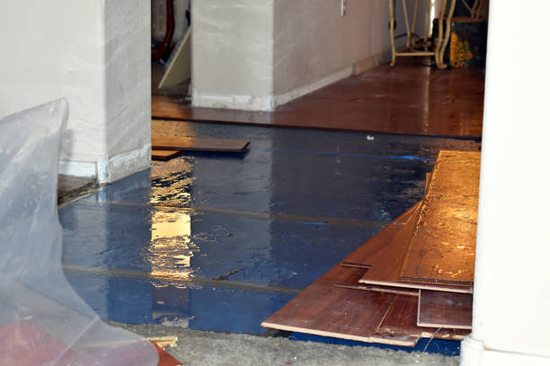 Professional Water Damage Restoration technician working in Wright, MN
